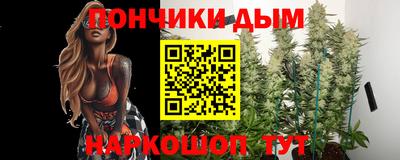 шишки Аша