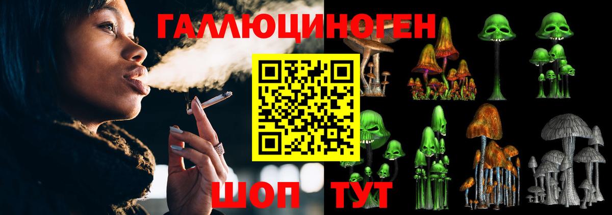 Коломна  Галлюциногенные грибы Psilocybine cubensis  Вход с VPN 